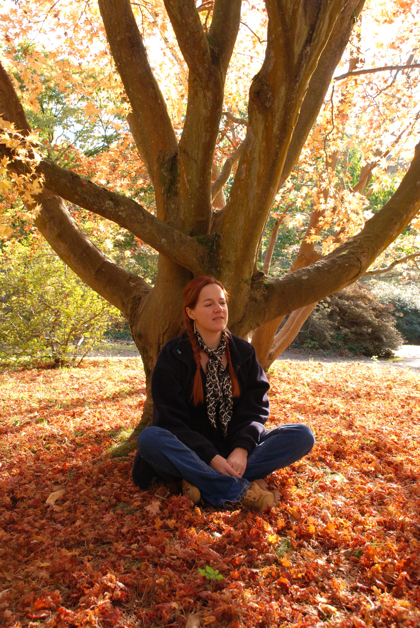 Jan hypnotherapist in the Forest 